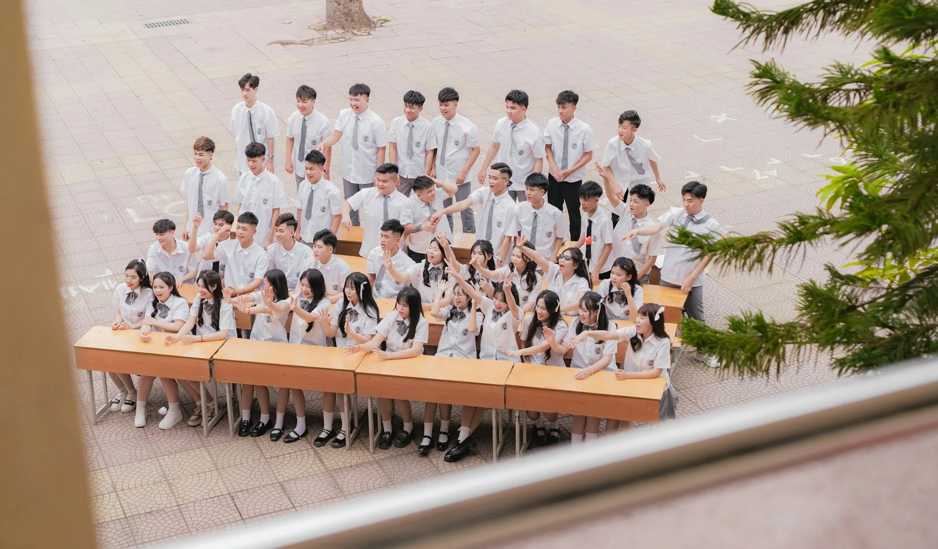Demo School